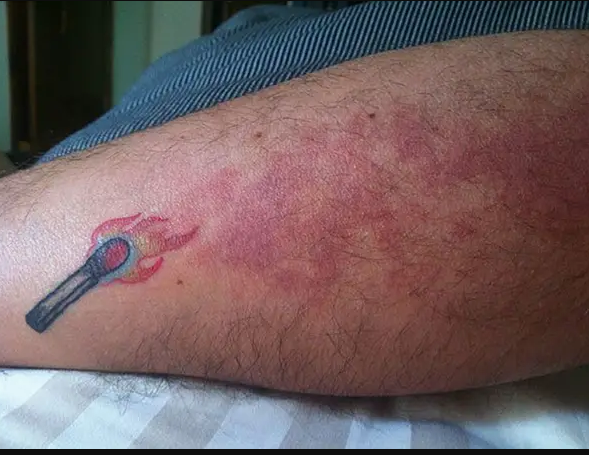 anh_31_cb42c3084a1a4999be5fd0f7f4d40f18_grande anh 31 cb42c3084a1a4999be5fd0f7f4d40f18 grande