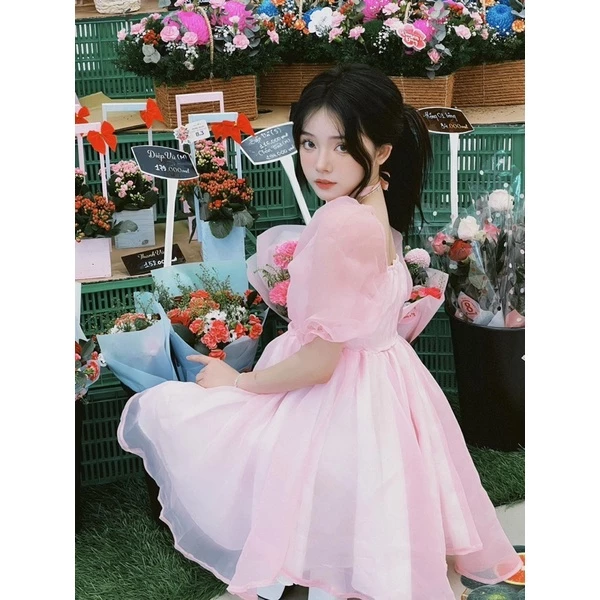 Đầm Công Chúa Dự Tiệc Cheapy 2 Lớp Cao Cấp, Chính Hãng 13 đầm dự tiệc công chúa cao cấp