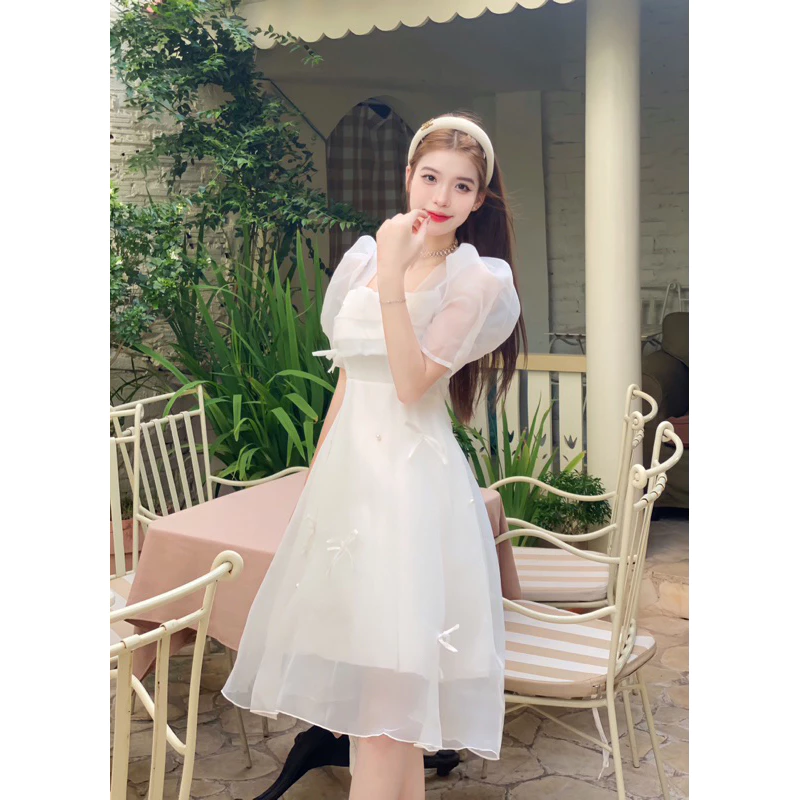 bảo quản đầm công chúa