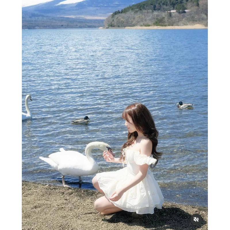 đầm trễ vai đi tiệc